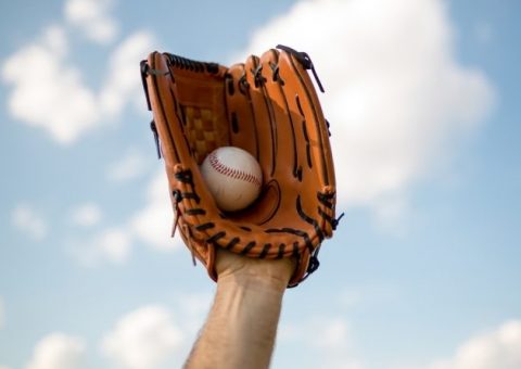 Markwort Baseball Glove Locker Ball Glove Break-In & Maintenance Kit